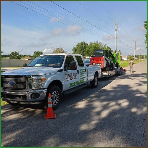 Emergency Tree Service in Valrico FL