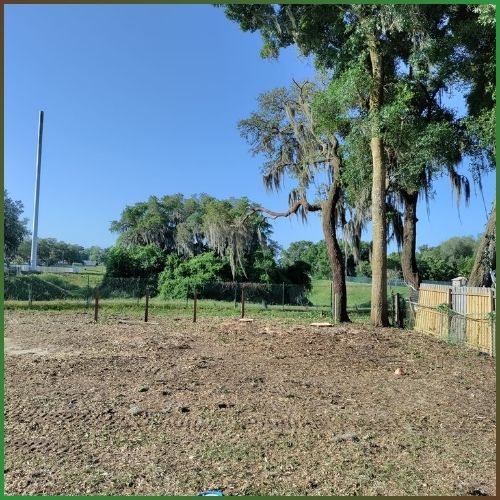 Lot-Land Clearing in Valrico FL