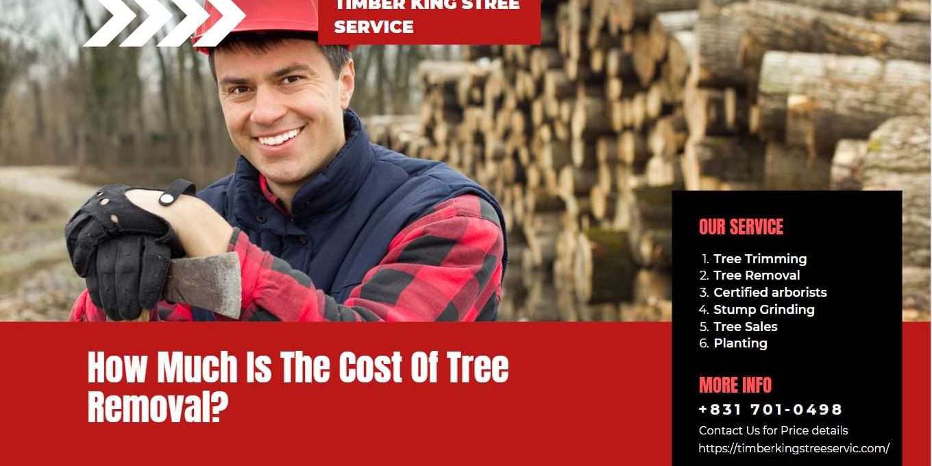 cost of tree removal
