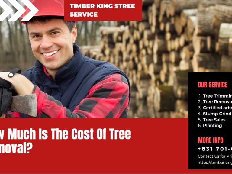 cost of tree removal