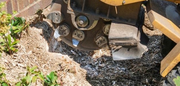 Stump Grinding Cost Analysis and Budgeting Tips