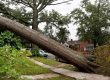 Post-Cleanup Restoration and Prevention