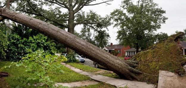 Post-Cleanup Restoration and Prevention