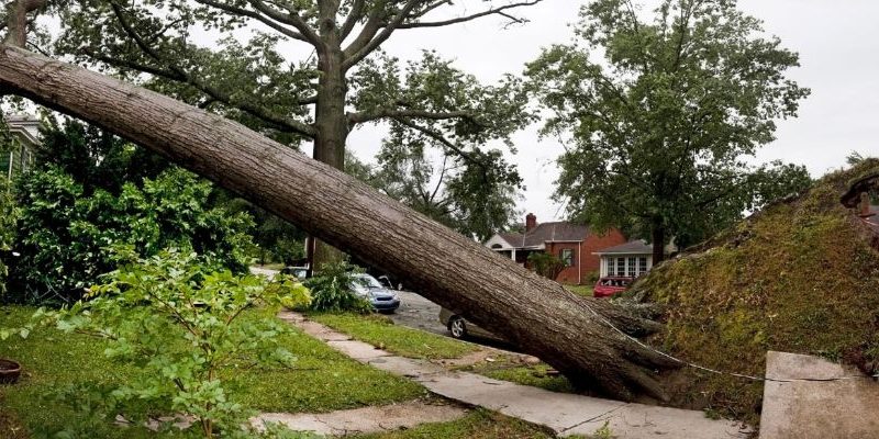Post-Cleanup Restoration and Prevention