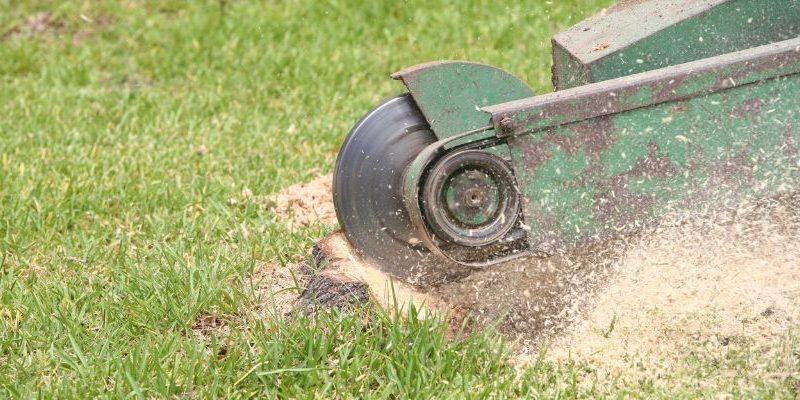 Stump Grinding