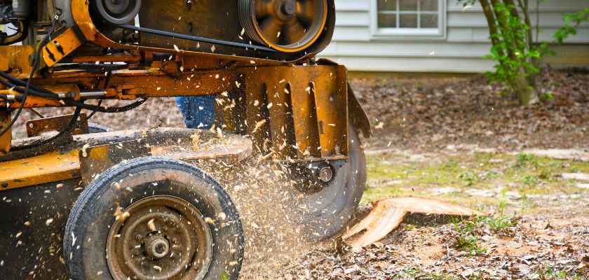 Understanding Stump Grinding