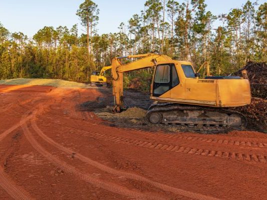 How Land Clearing Can Increase the Value of Your Property