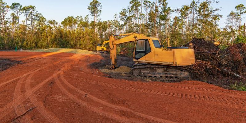 How Land Clearing Can Increase the Value of Your Property