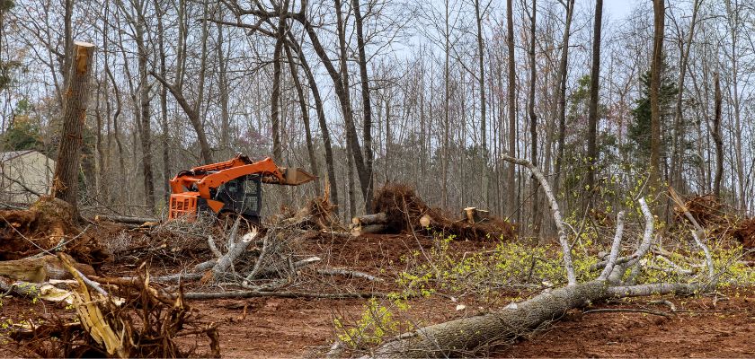 Importance of Land Clearing for Property Value