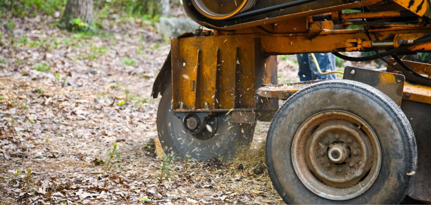 Preparing for Stump Grinding