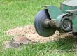 Professional Stump Grinding Service