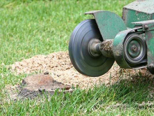 Professional Stump Grinding Service