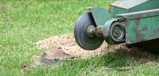 Professional Stump Grinding Service