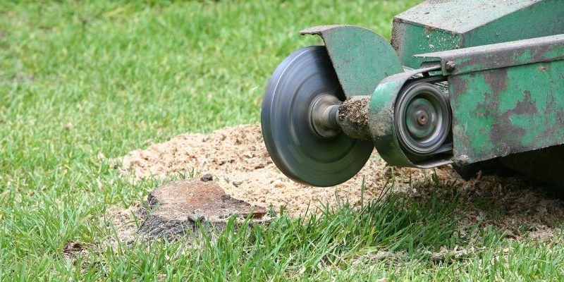 Professional Stump Grinding Service