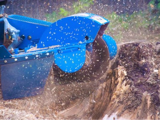 Stump Grinding is Essential for a Safe and Beautiful Yard