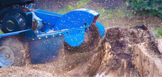 Stump Grinding is Essential for a Safe and Beautiful Yard