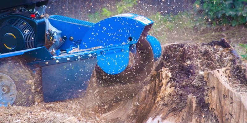 Stump Grinding is Essential for a Safe and Beautiful Yard