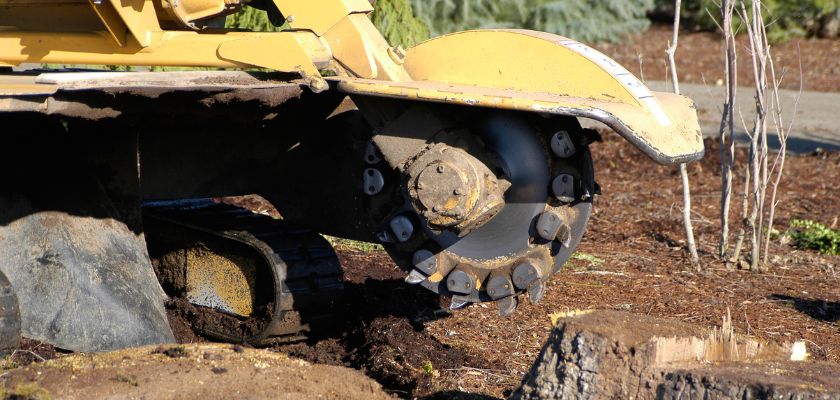 Why Stump Grinding is Essential for a Safe and Beautiful Yard