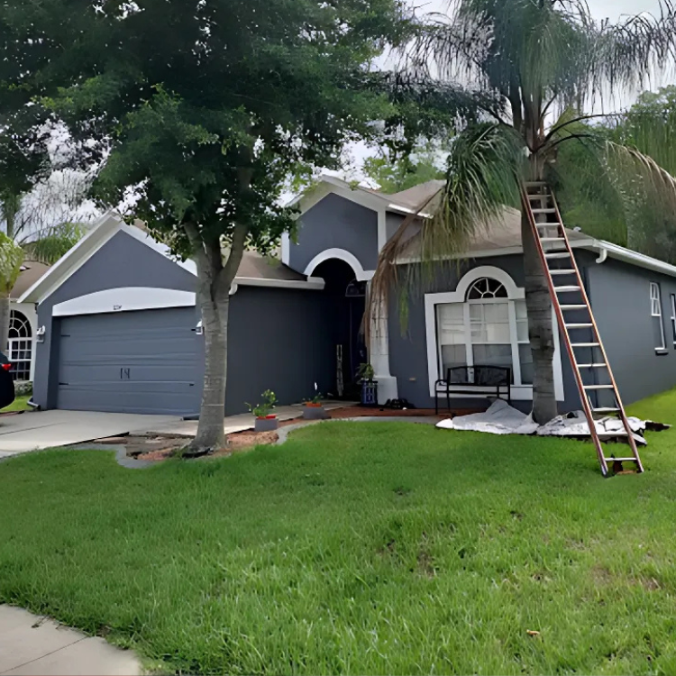 How Often Should You Schedule Tree Trimming Maintenance