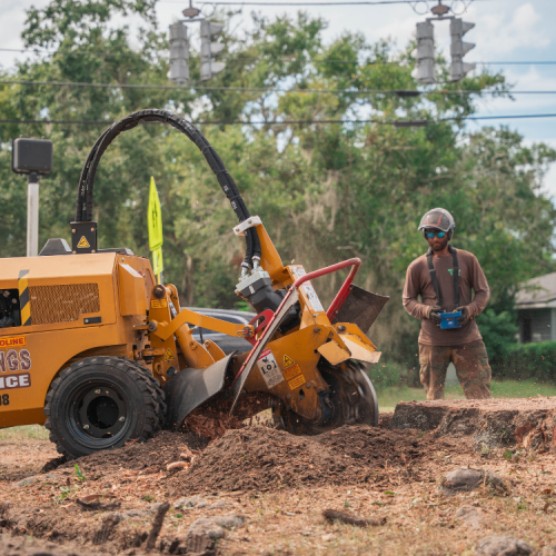 Untitled design (3) Untitled design (3)